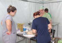 Barão de Cocais realiza mutirão de castração e microchipagem neste fim de semana