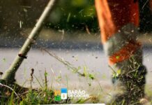 Cronograma Limpeza Urbana